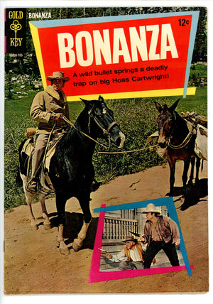 Bonanza 24
