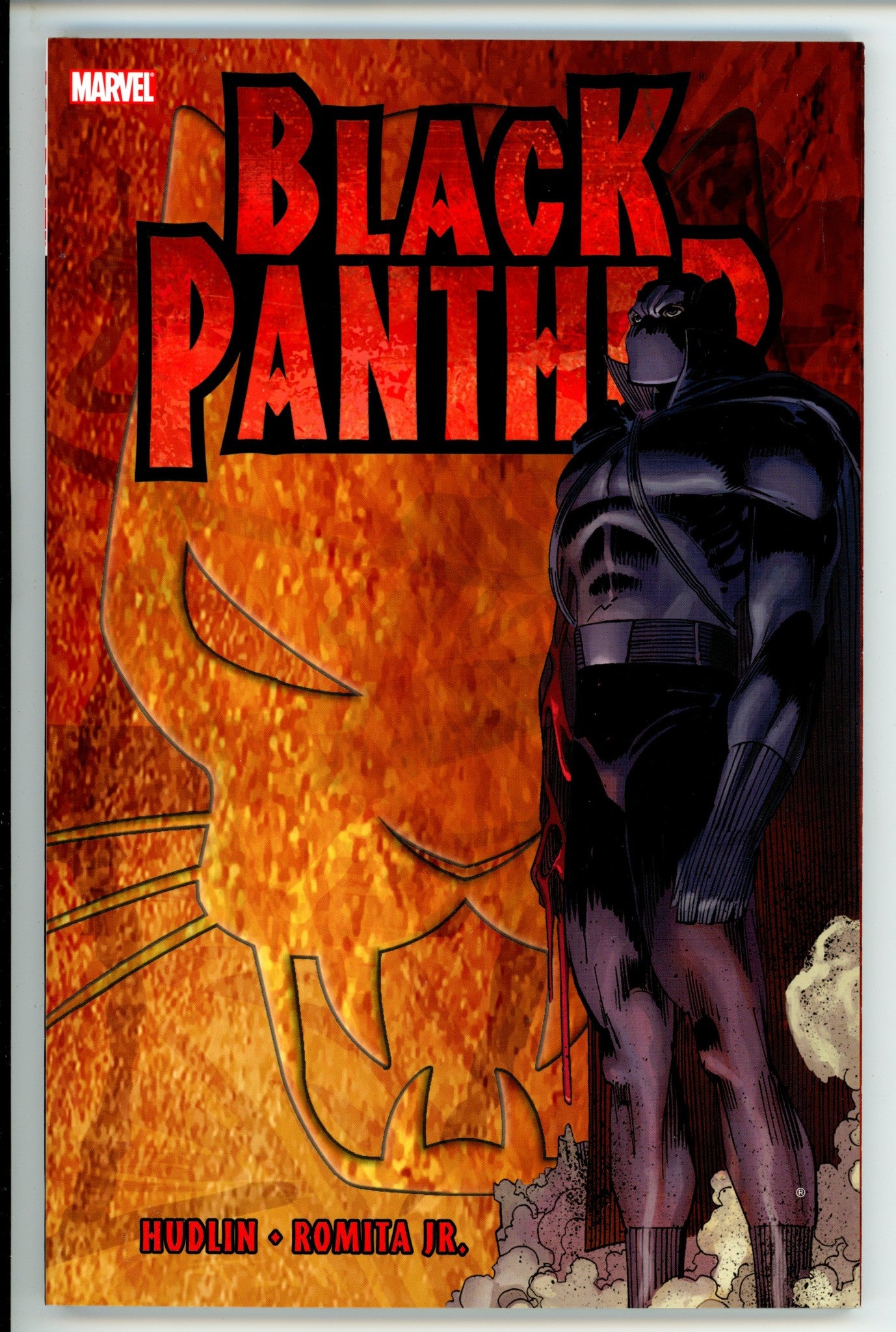Black Panther Who Is The Black Panther? TPB