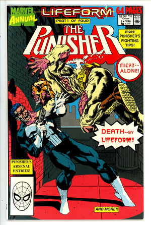 The Punisher Annual Vol 2 3 (1990)