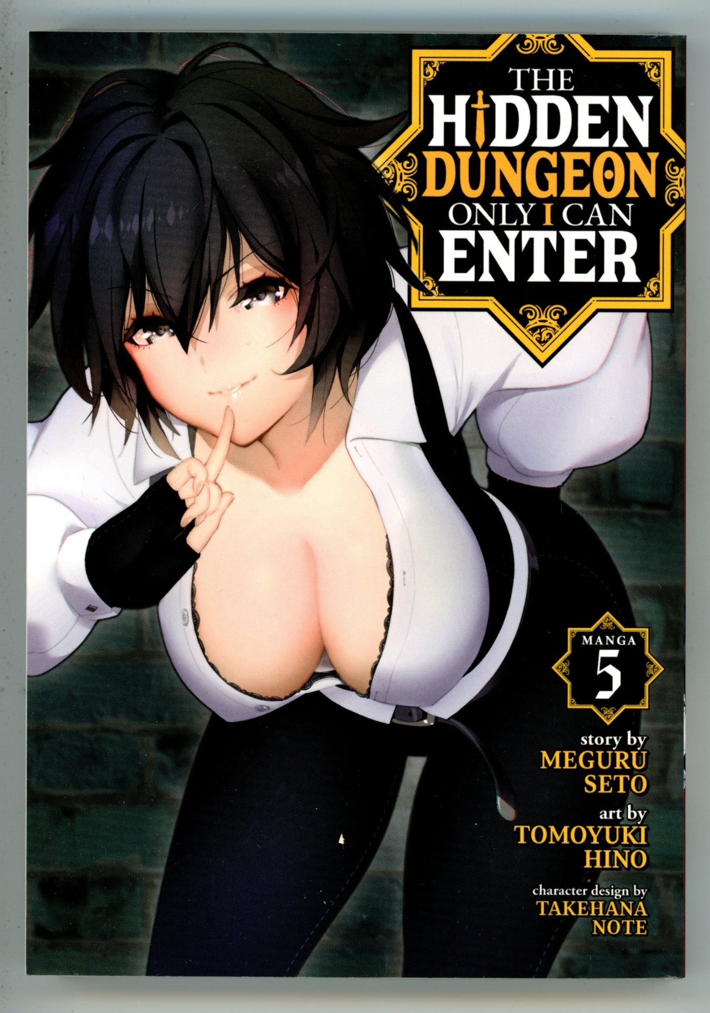 Hidden Dungeon Only I Can Enter Vol 5 TPB Manga