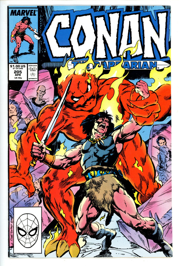 Conan the Barbarian Vol 1 205