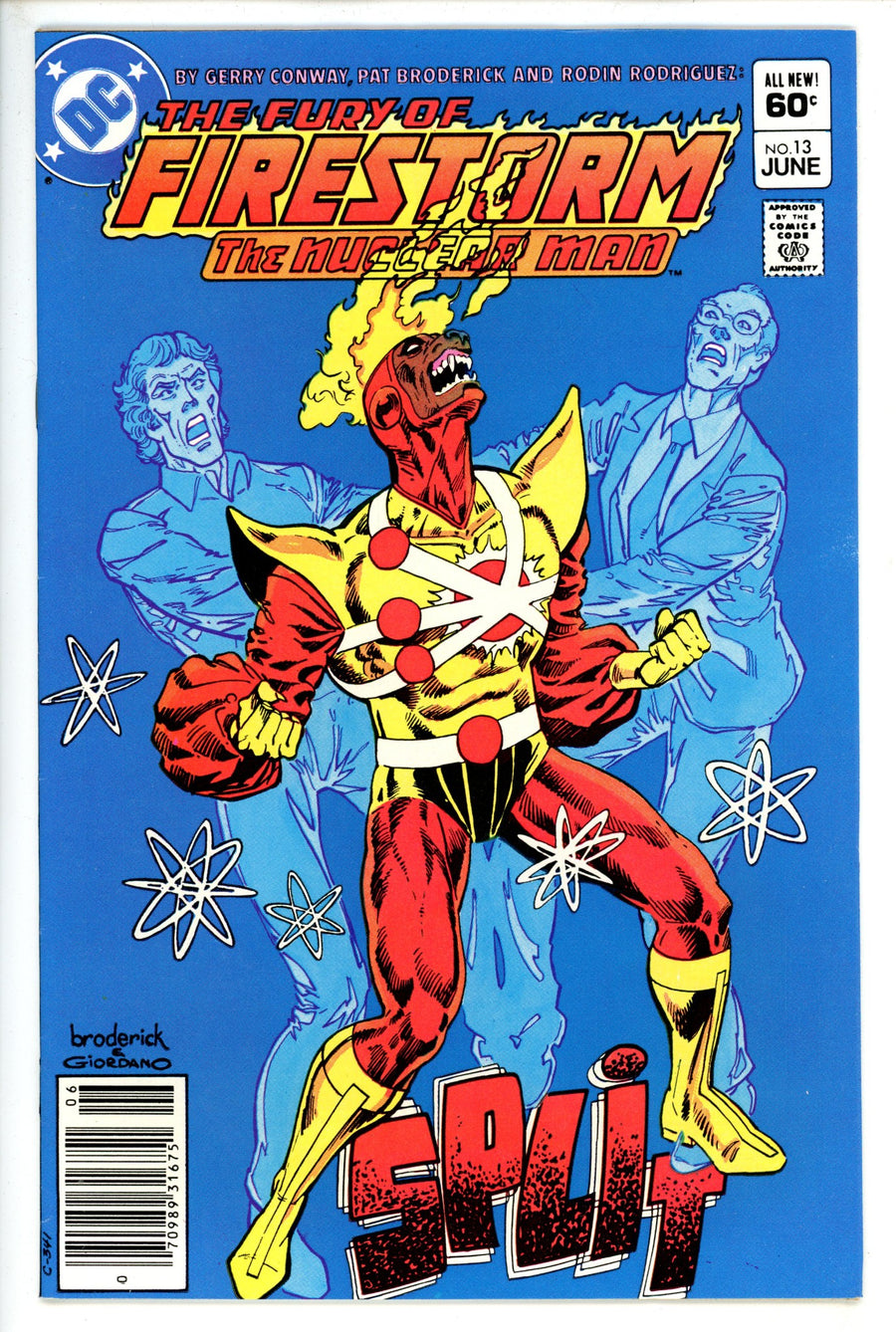 The Fury of Firestorm Vol 2 13 Newsstand