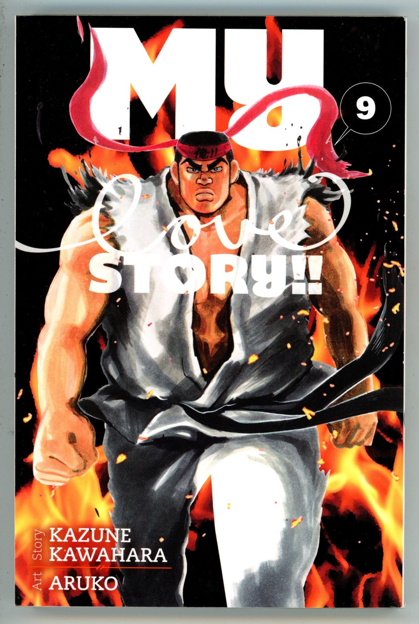 My Love Story Vol 9 TPB Manga