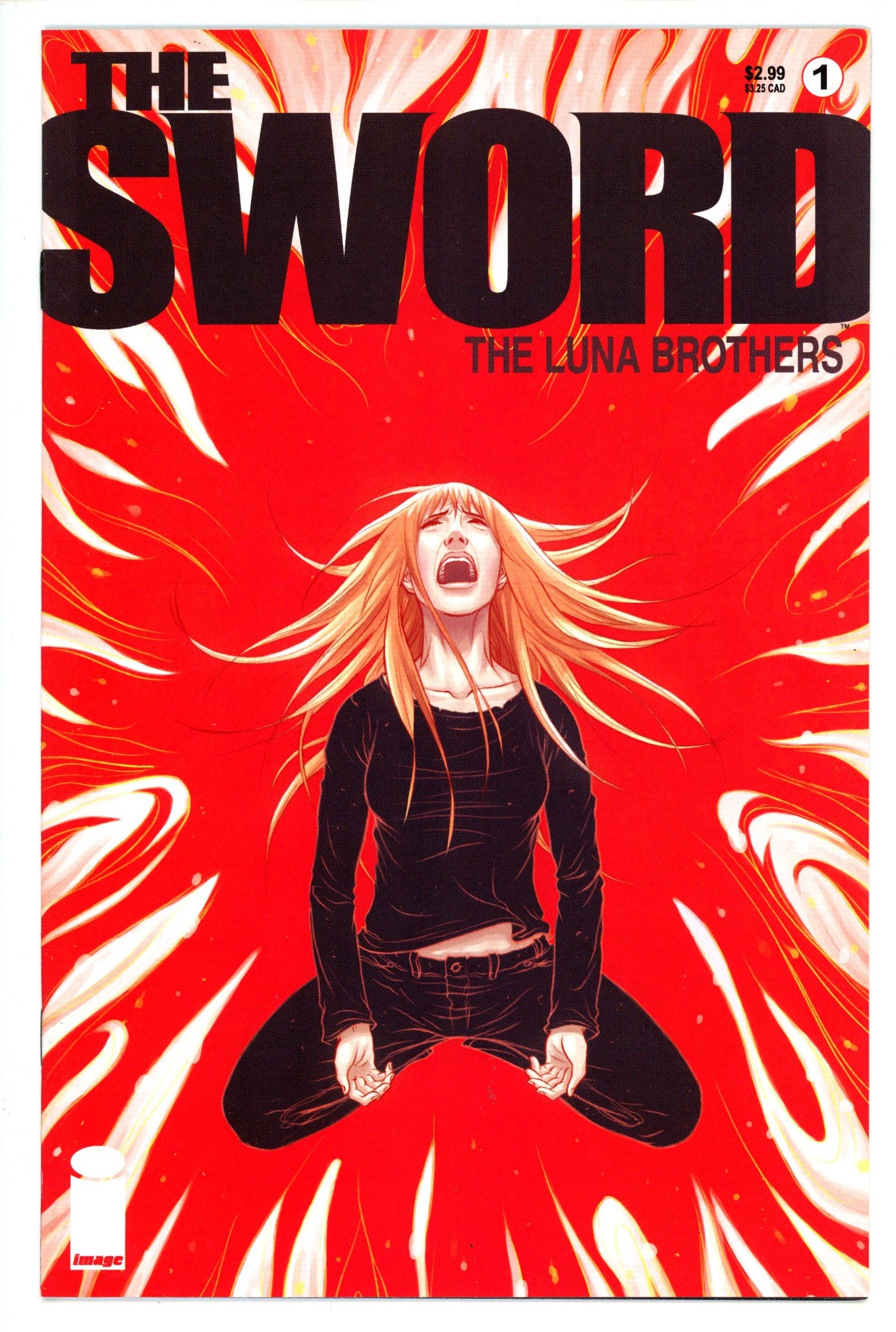 The Sword 1