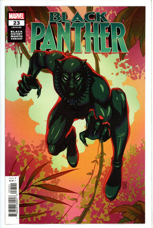 Black Panther Vol 7 23 Souza Variant (2021)