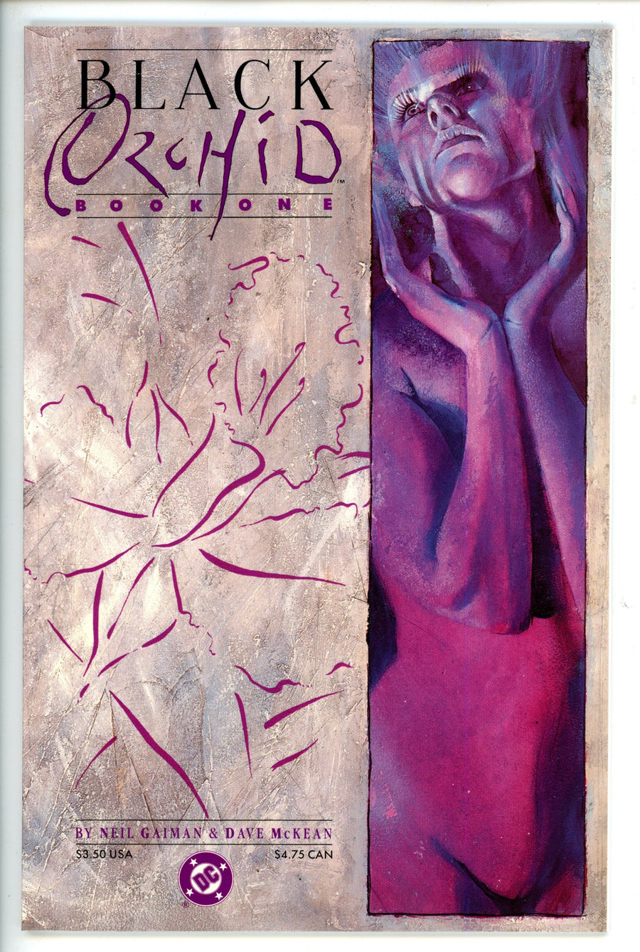 Black Orchid 1