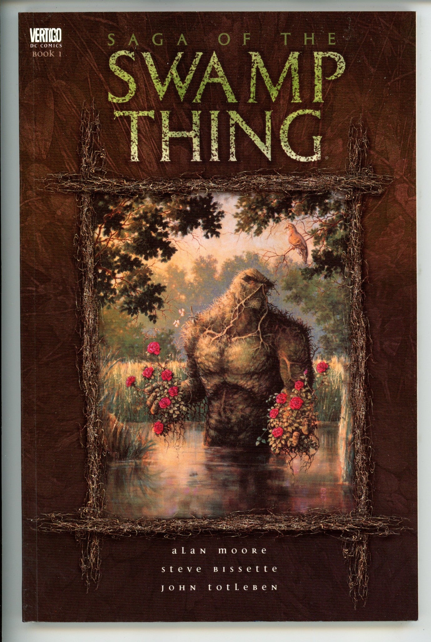 Saga of the Swamp Thing Vol 1 TPB