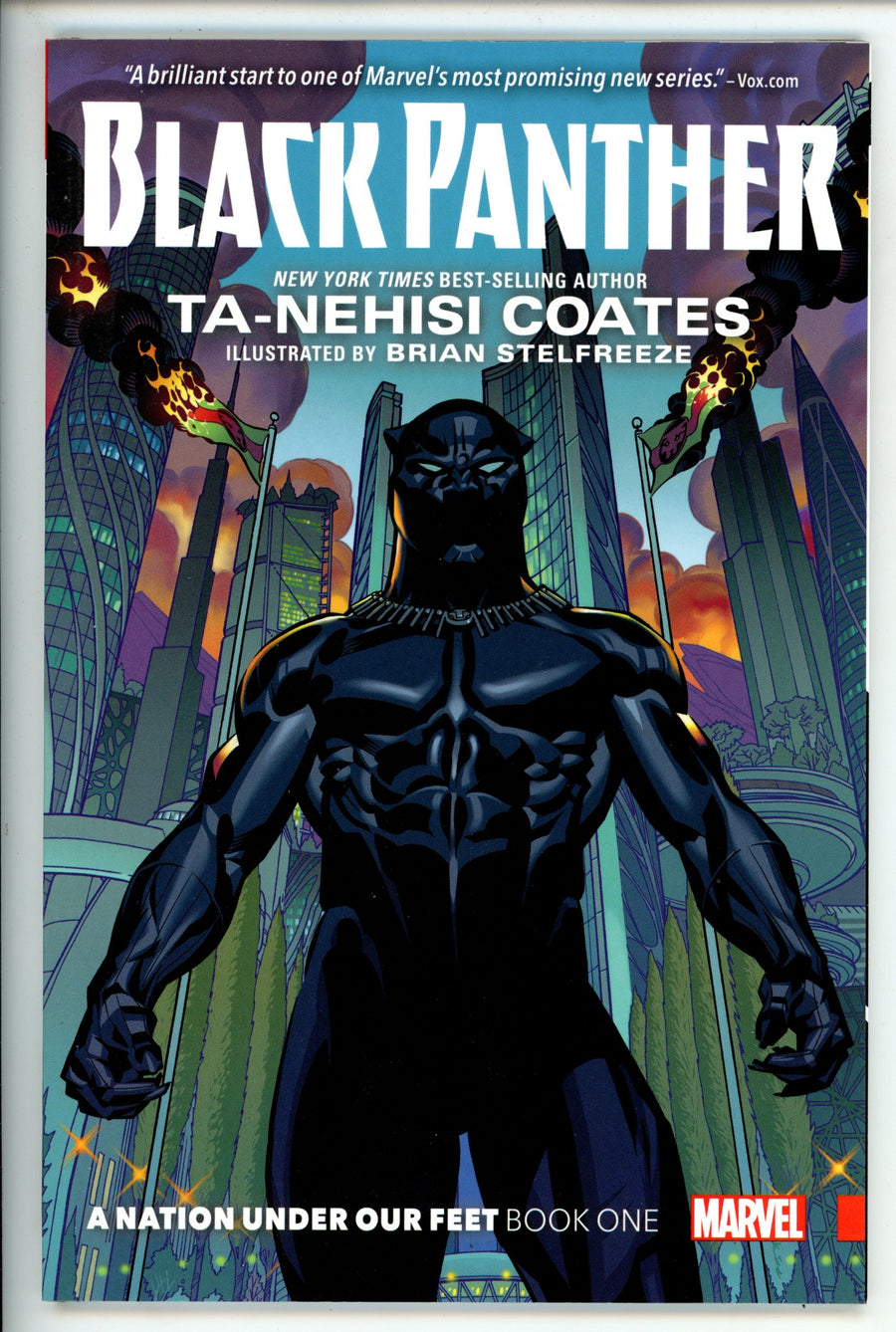 Black Panther Vol 1 A Nation Under Our Feet TPB