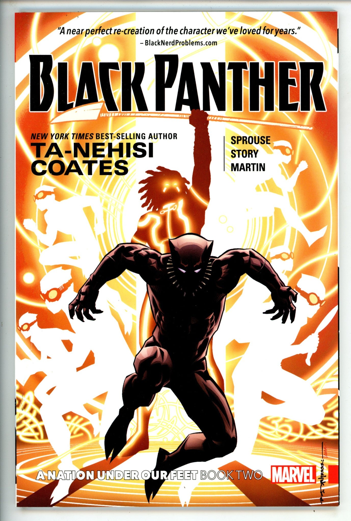 Black Panther Vol 2 A Nation Under Our Feet TPB