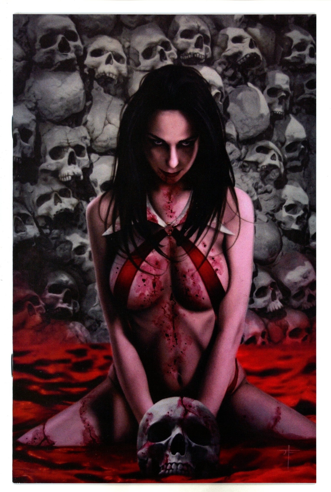 Vampirella Vol 6 1 Ferguson Variant NM