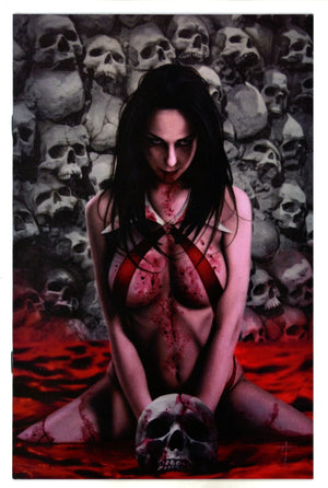 Vampirella Vol 6 1 Ferguson Variant NM