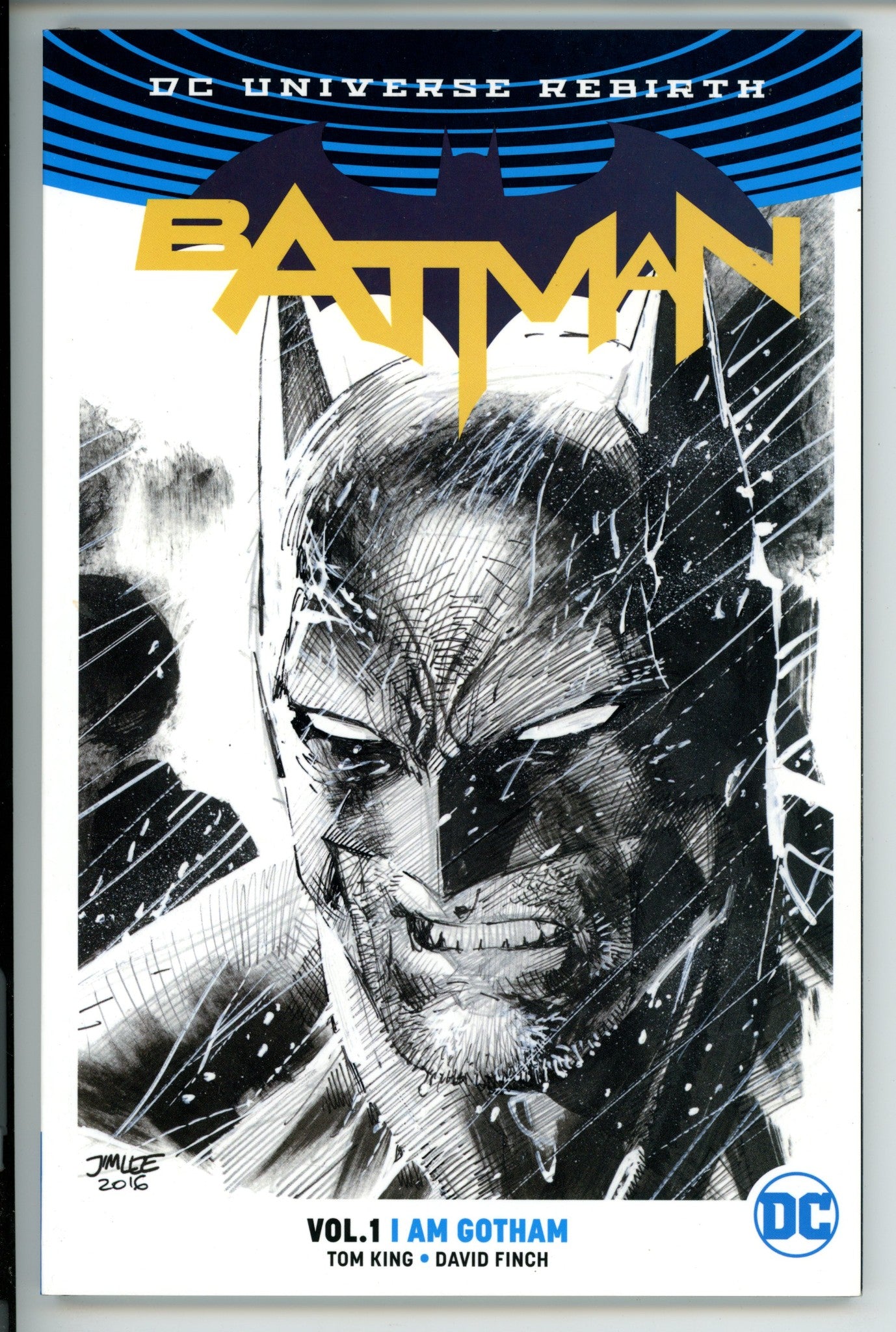 Batman Vol 1 I am Gotham Variant