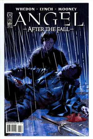 Angel: After the Fall 13 Runge Variant (2008)