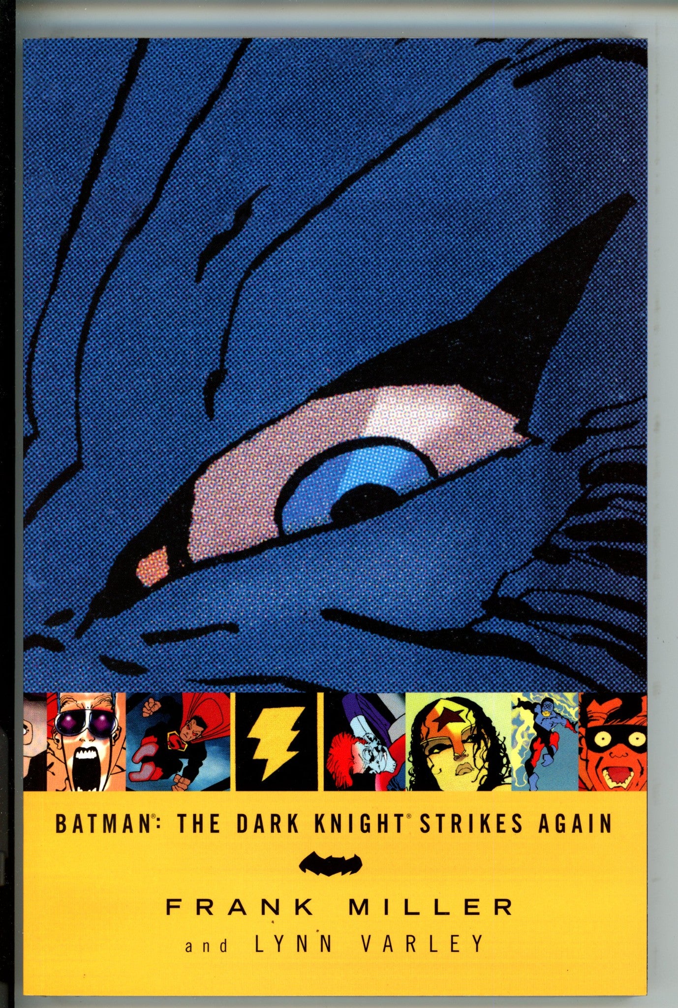 Batman The Dark Knight Strikes Back 3rd Print TPB