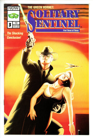 Green Hornet: Solitary Sentinel 3 (1993)