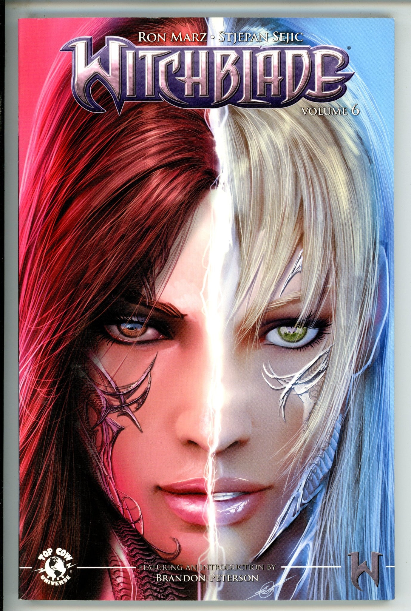 Witchblade Vol 6 TPB