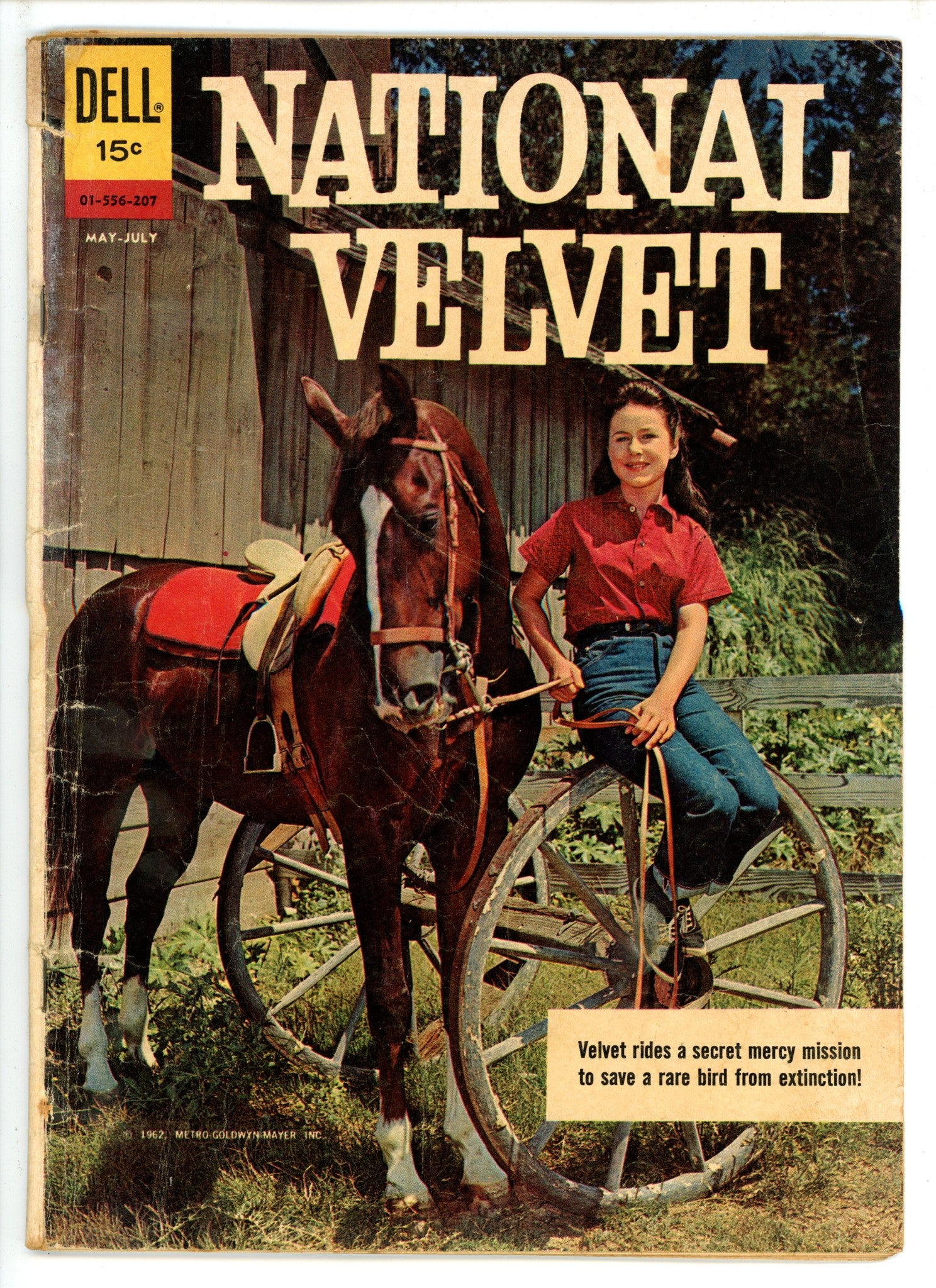 National Velvet 01-556-207 FR/GD (1962)