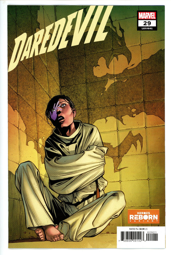 Daredevil Vol 6 29 Pacheco Variant (2021)