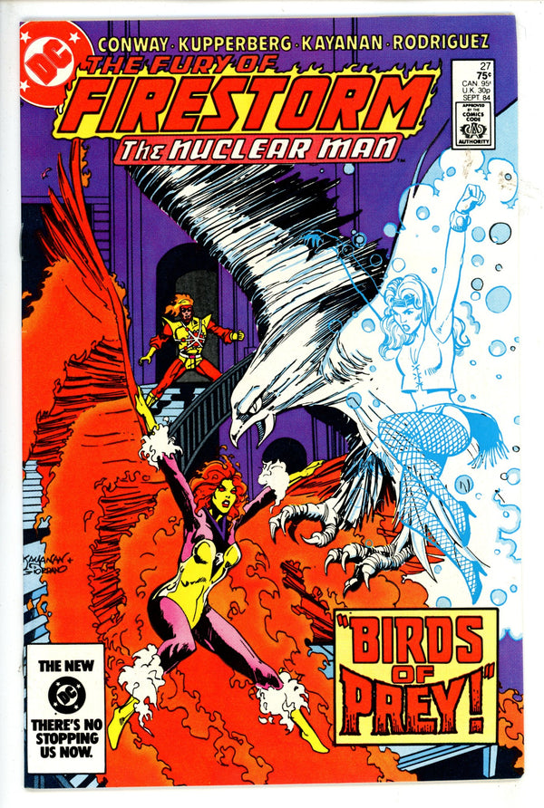 The Fury of Firestorm Vol 2 27