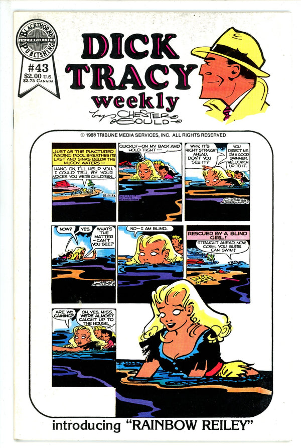 Dick Tracy Weekly 43 (1988)