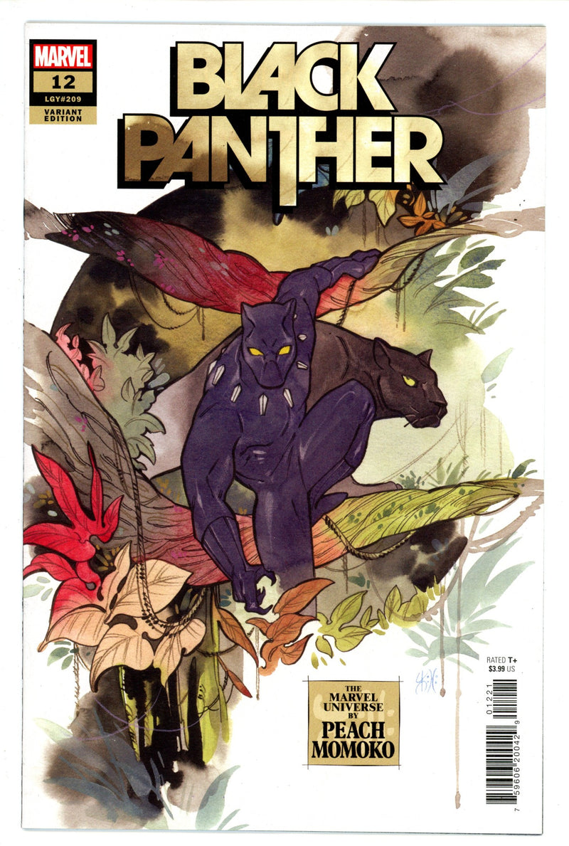 Black Panther Vol 8 12 Momoko Variant (2022)