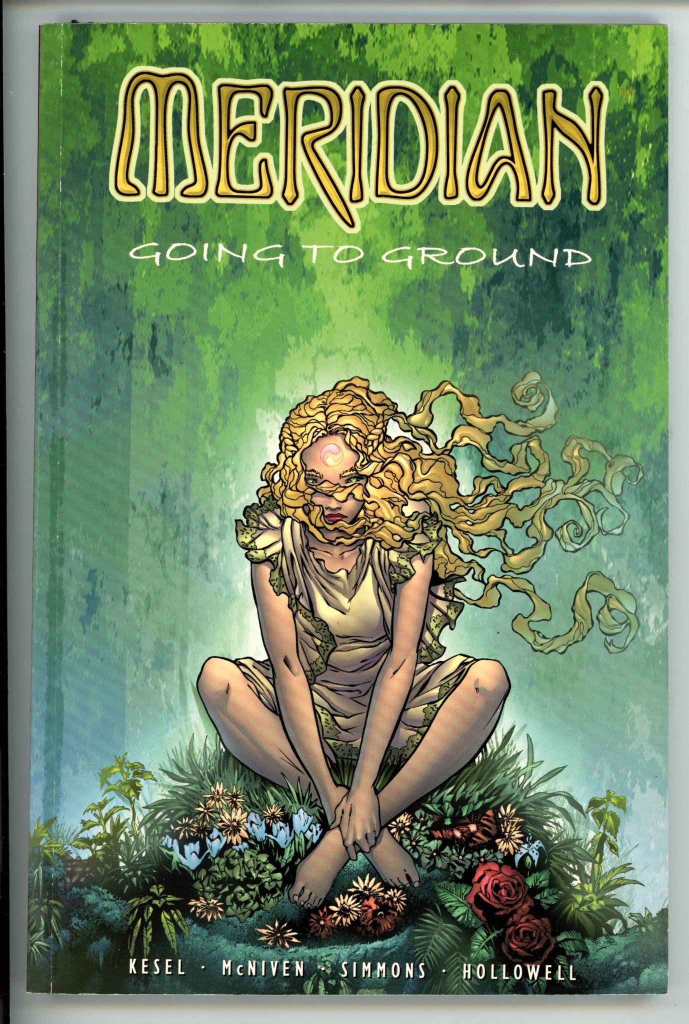 Meridian Vol 2 Going to Ground TPB