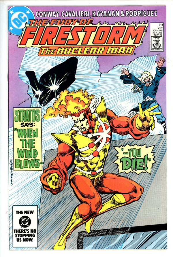 The Fury of Firestorm Vol 2 29