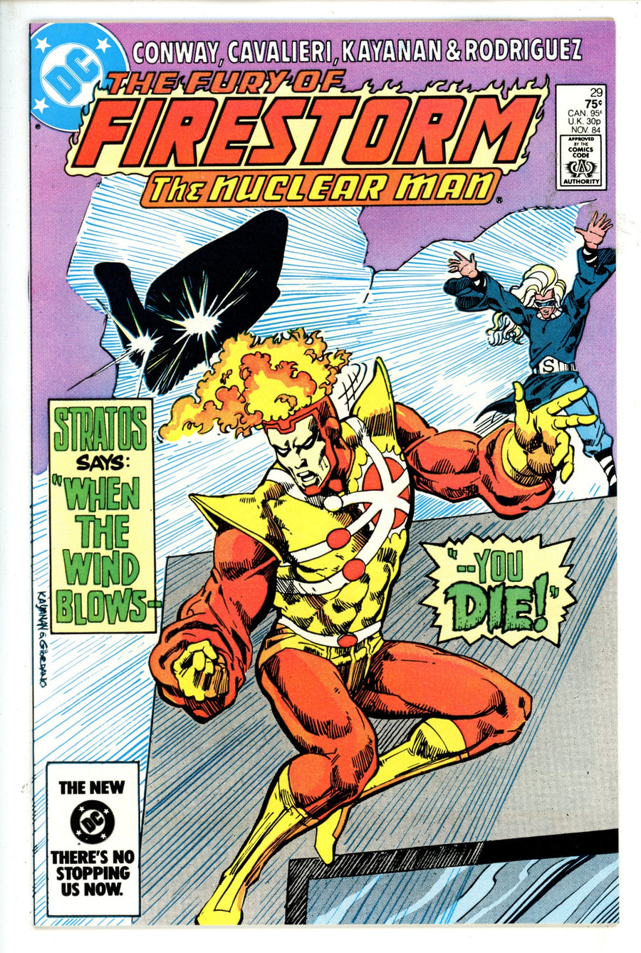 The Fury of Firestorm Vol 2 29