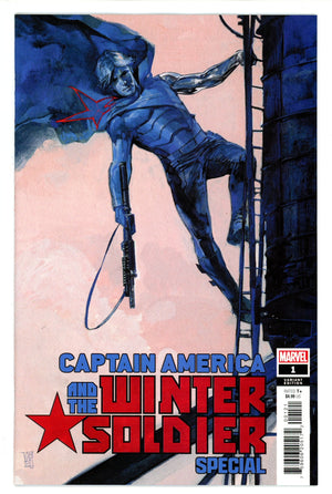 Captain America Winter Soldier Special 1 Maleev Variant