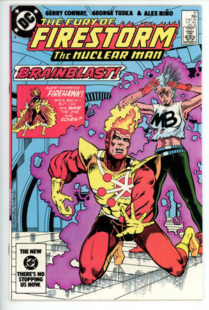 The Fury of Firestorm Vol 2 31