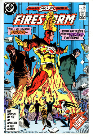 The Fury of Firestorm Vol 2 56