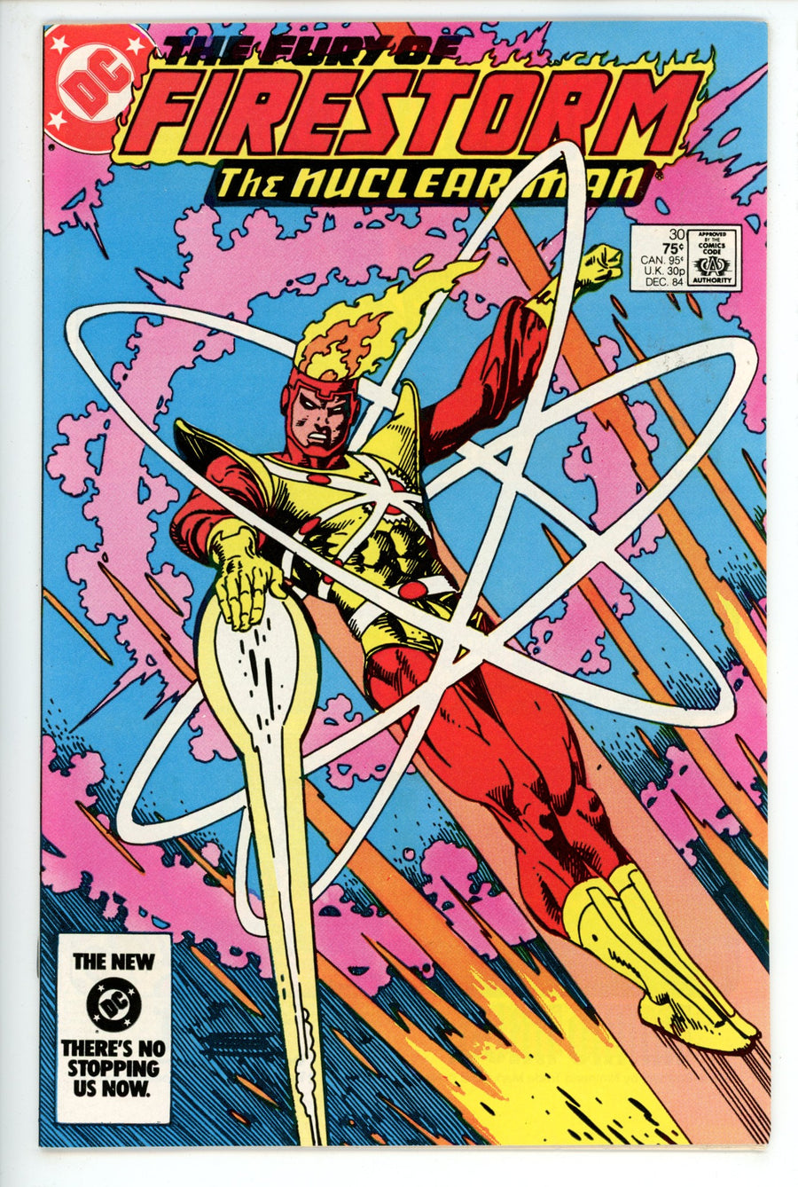 The Fury of Firestorm Vol 2 30