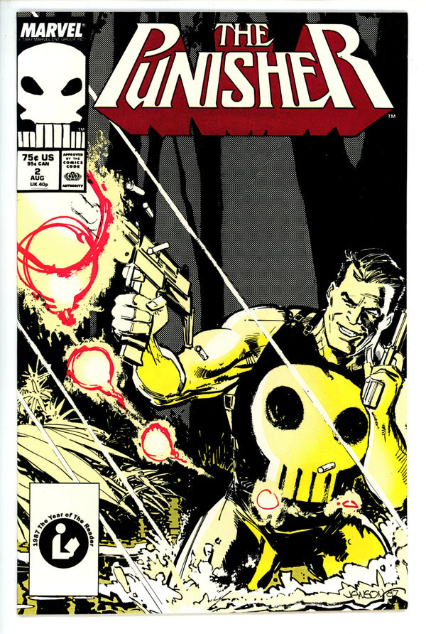 The Punisher Vol 2 2