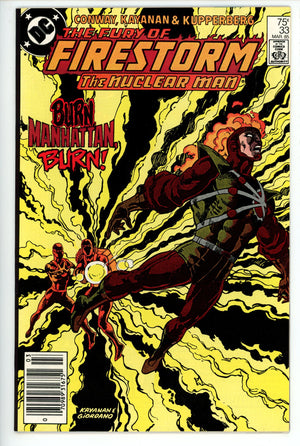 The Fury of Firestorm Vol 2 33 Newsstand