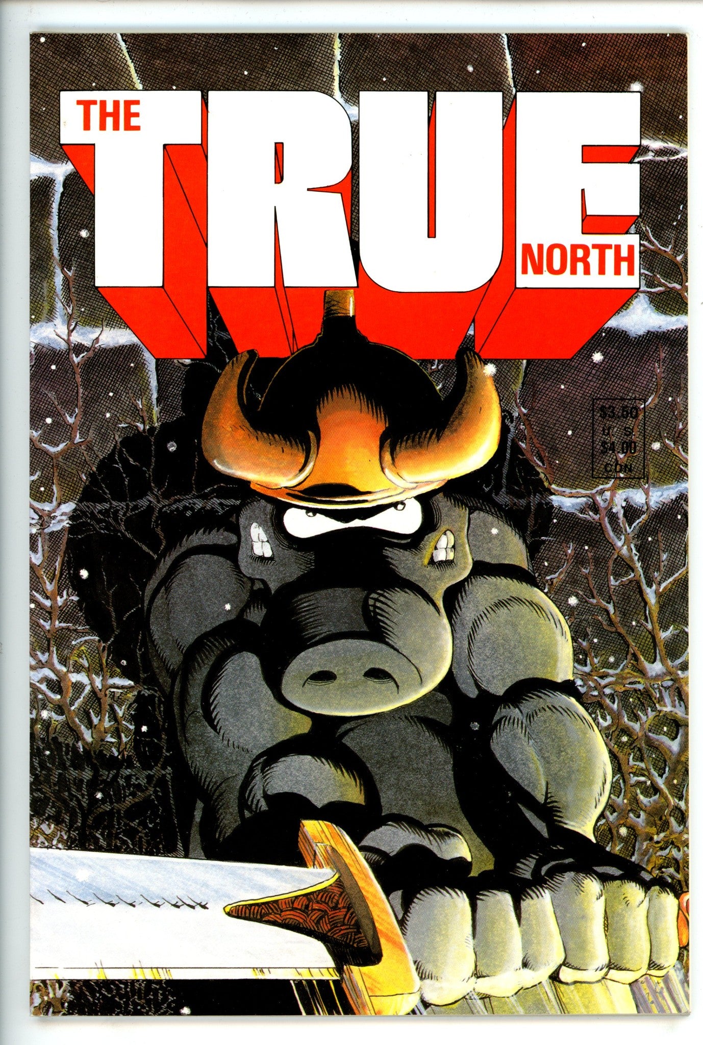 True North [nn]