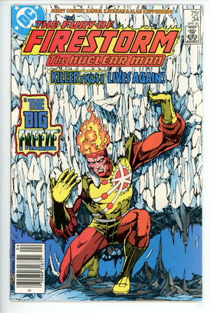 The Fury of Firestorm Vol 2 34 Newsstand