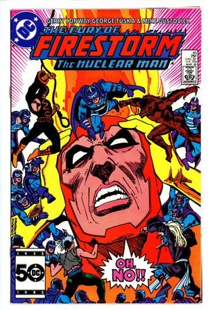 The Fury of Firestorm Vol 2 45