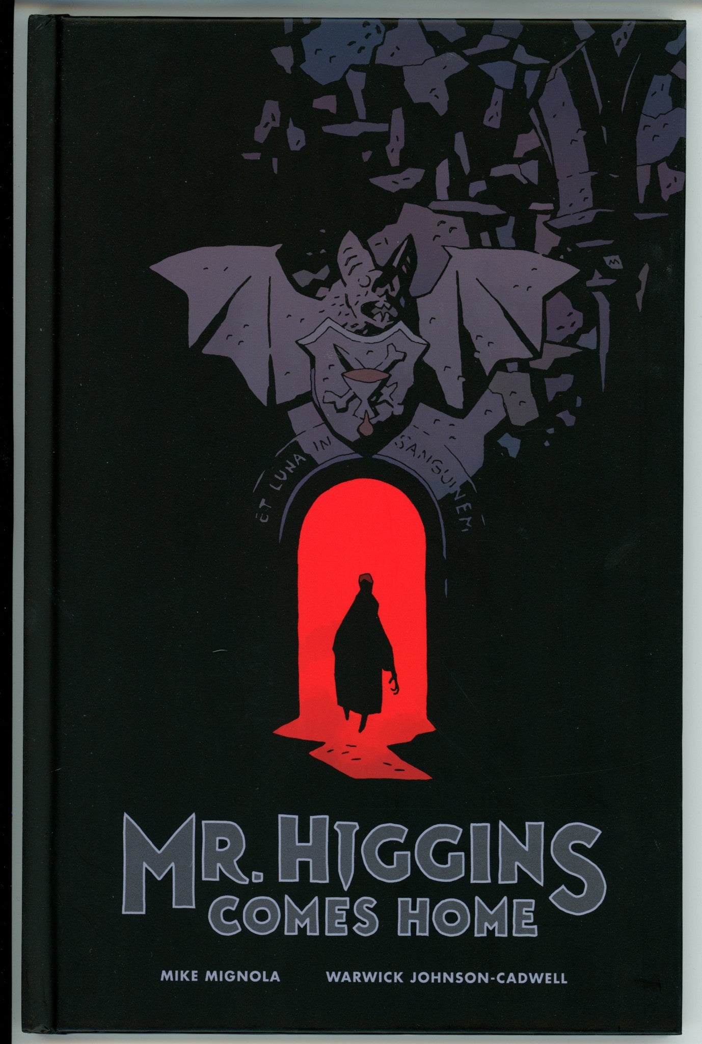 Mr. Higgins Comes Home HC