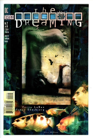 The Dreaming Vol 1 2