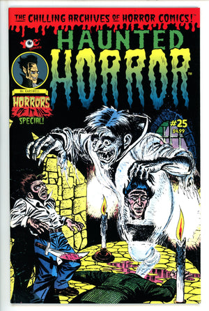 Haunted Horror 25 (2016)