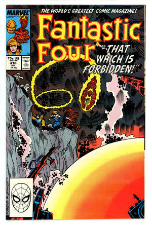 Fantastic Four Vol 1 316