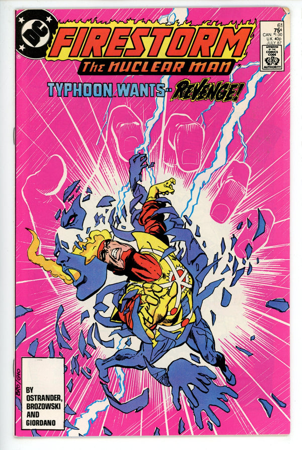 The Fury of Firestorm Vol 2 61
