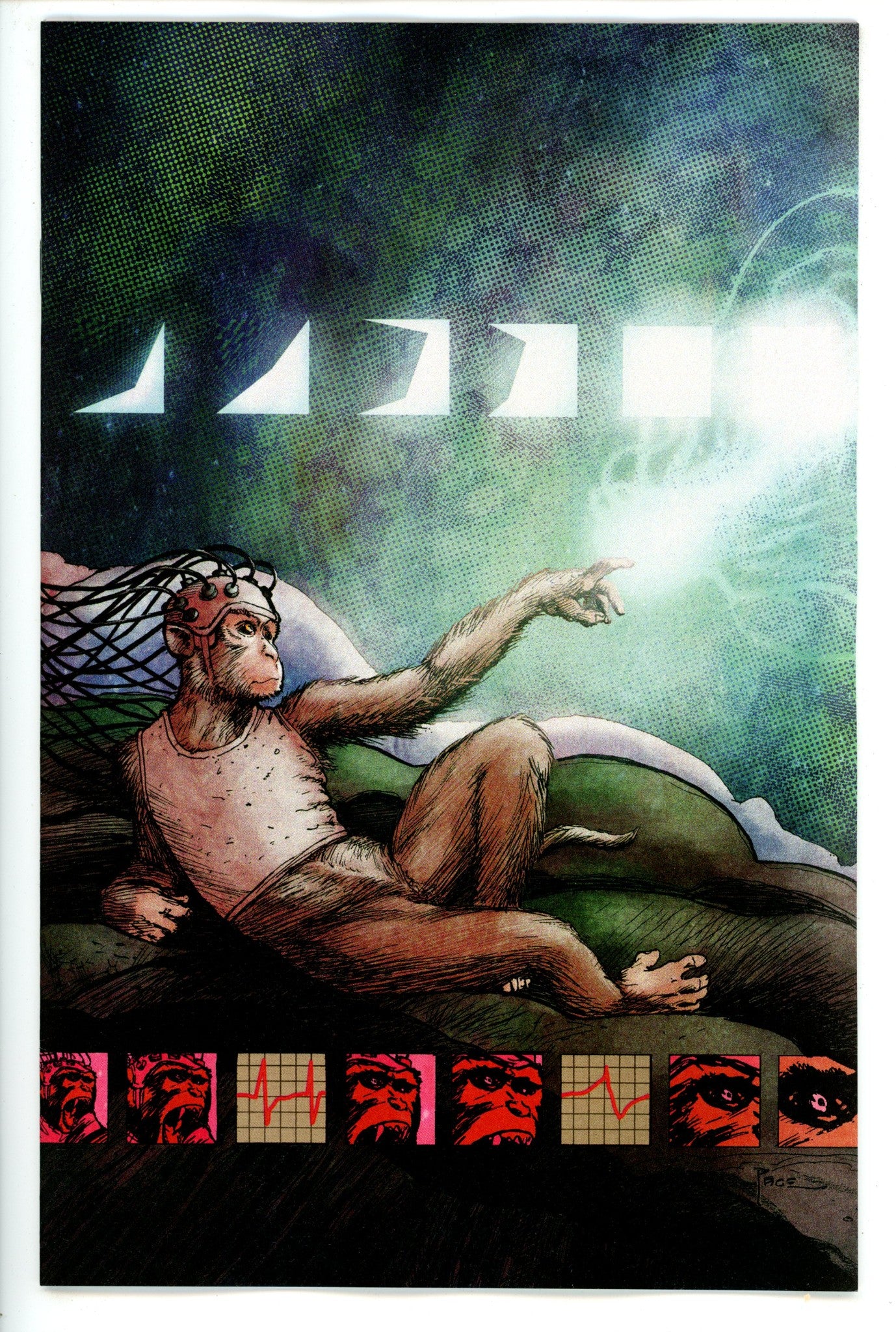 Primordial 1 Pace Variant