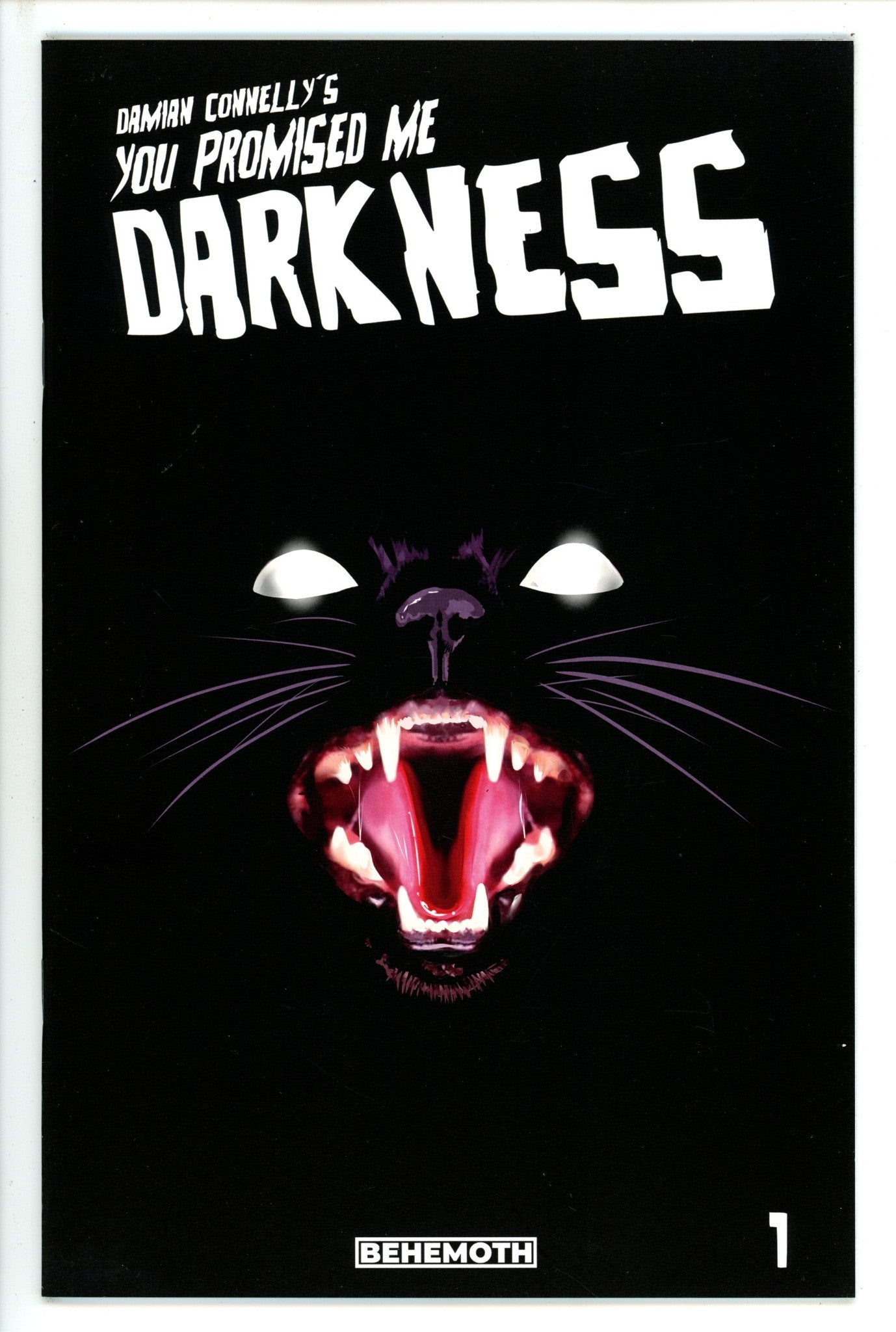 You Promised Me Darkness 1 3Rd Print (2021)