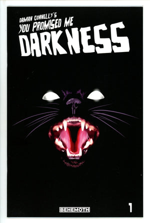 You Promised Me Darkness 1 3Rd Print (2021)