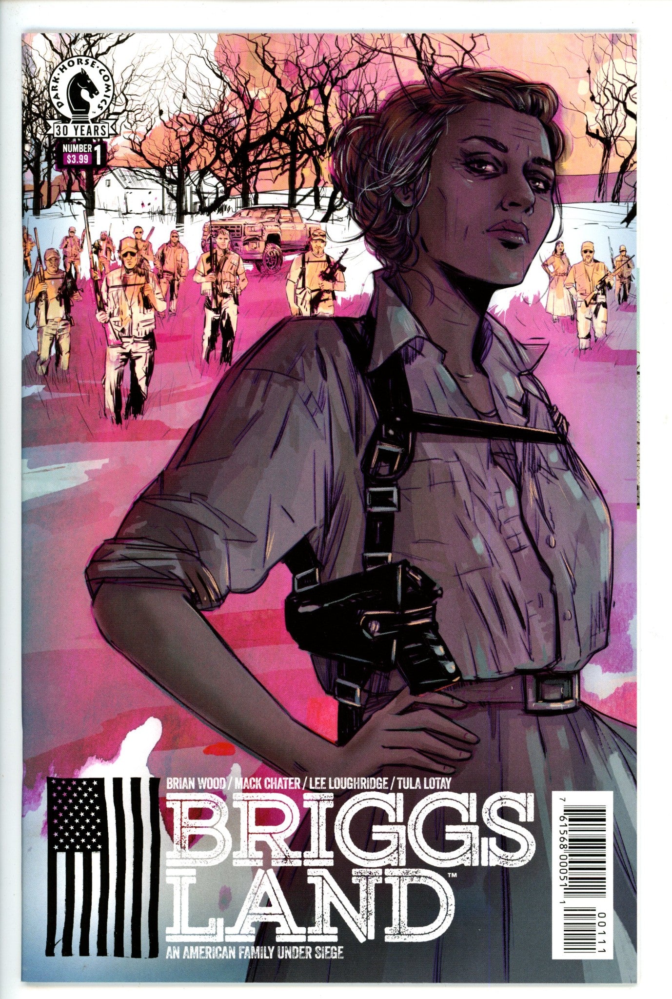 Briggs Land 1