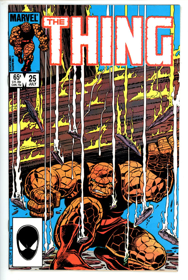 The Thing Vol 1 25