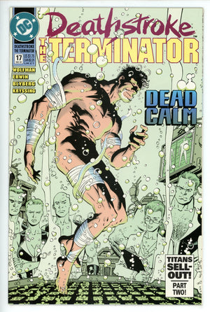 Deathstroke, the Terminator 17