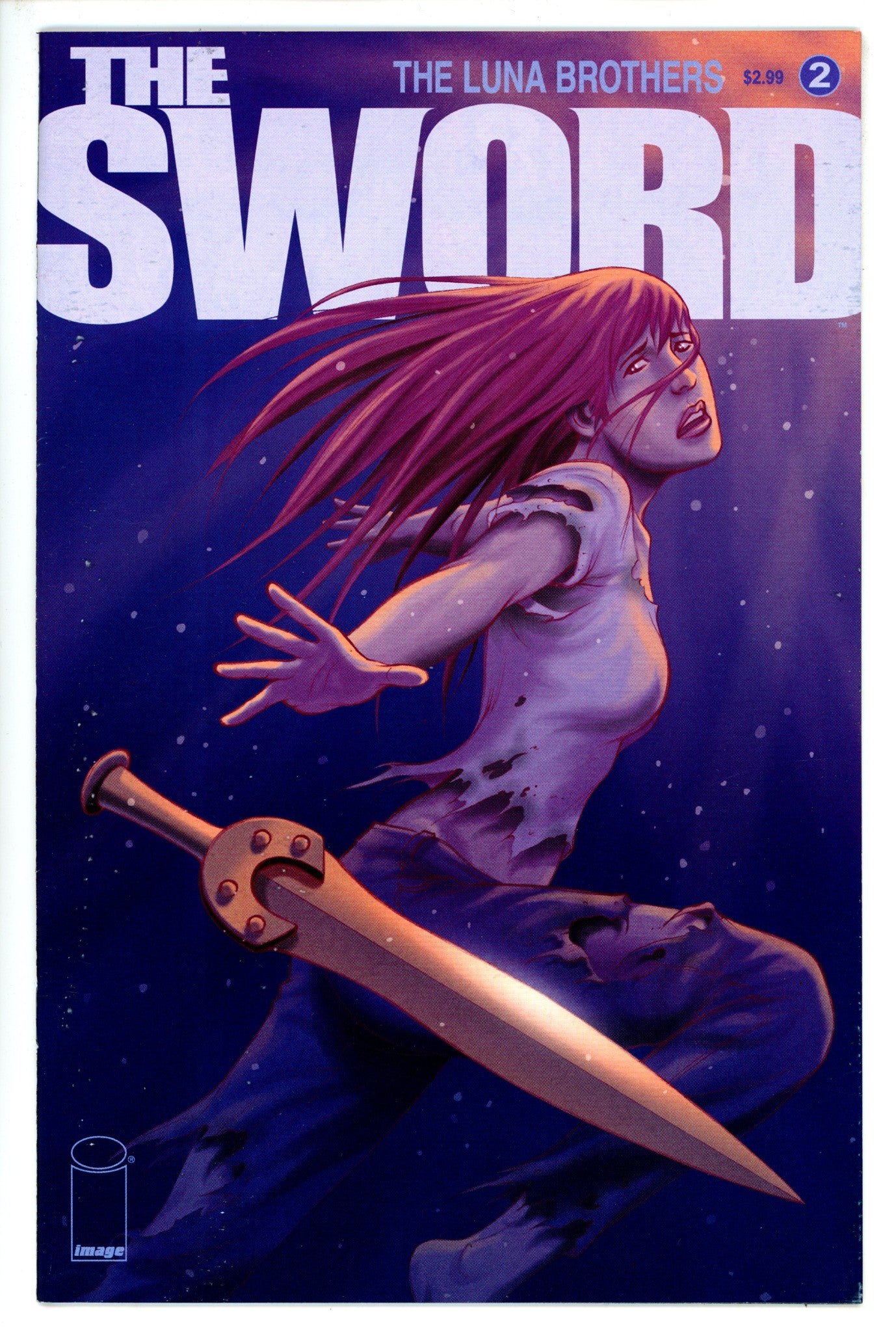 The Sword 2