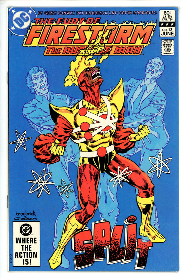 The Fury of Firestorm 13
